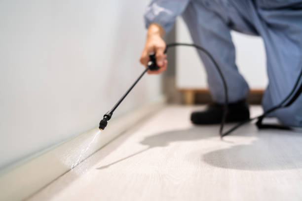 Licensed Fumigation Services service in Coal Fork, WV - Nex Pest Control