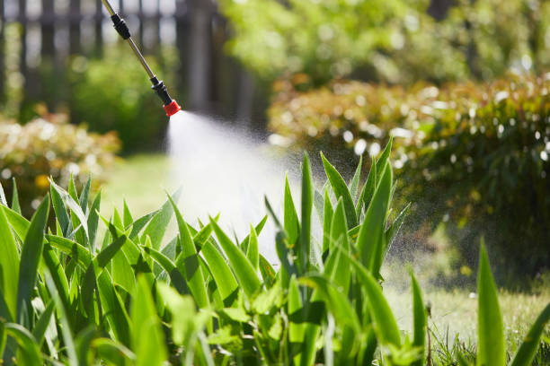 24/7 Emergency Fumigation Services experts in Coal Fork, WV