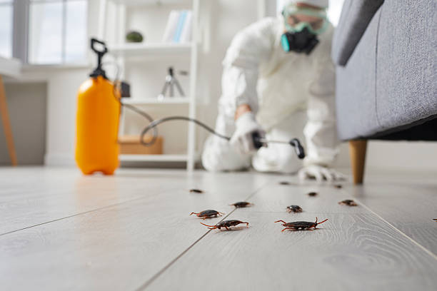 Trusted Mosquito Control service in Coal Fork, WV - Nex Pest Control