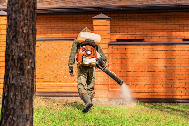 Trusted Ant Control service in Coal Fork, WV - Nex Pest Control